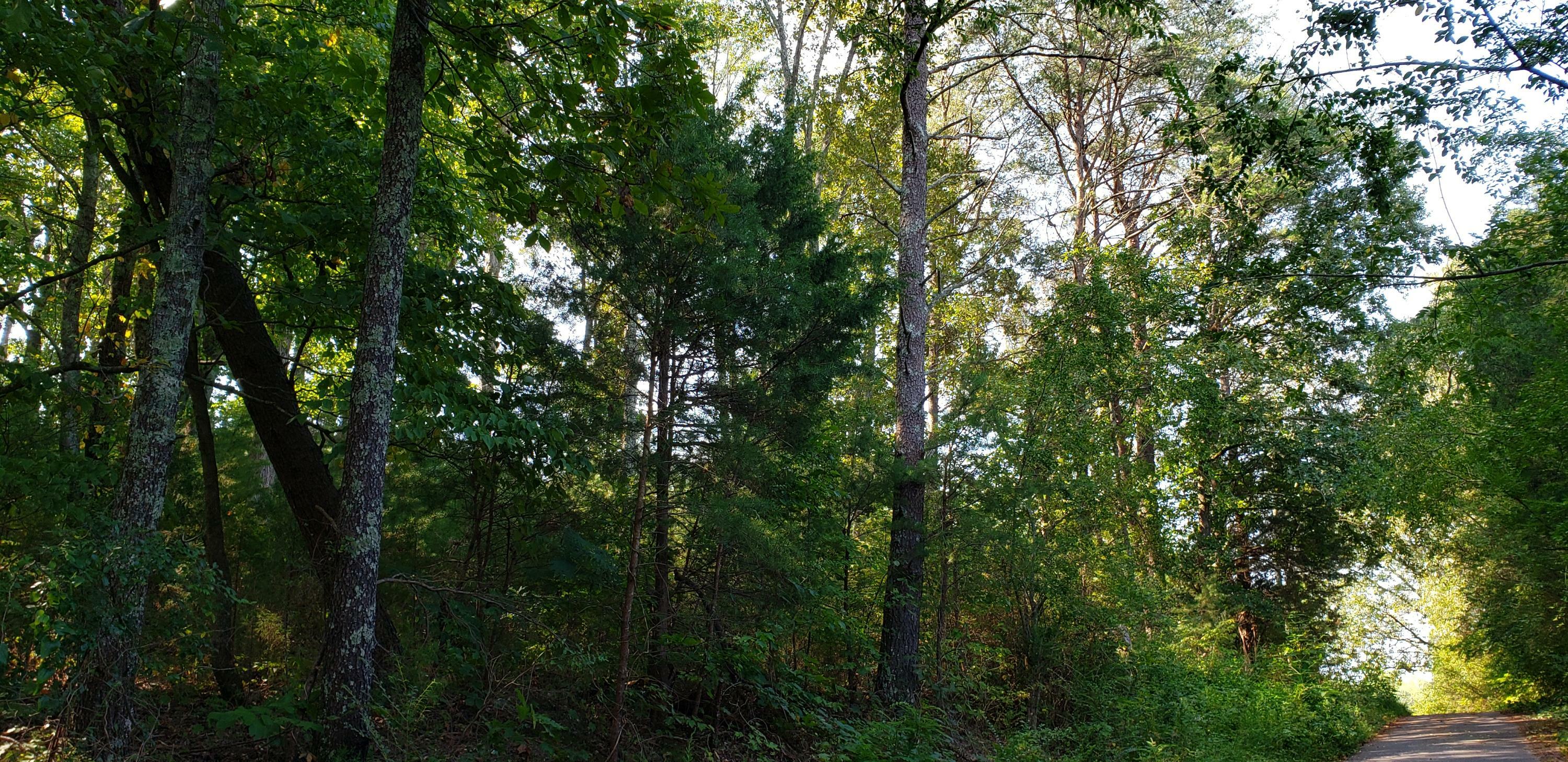 Property Photo:  0 Treeline Drive  TN 37327 