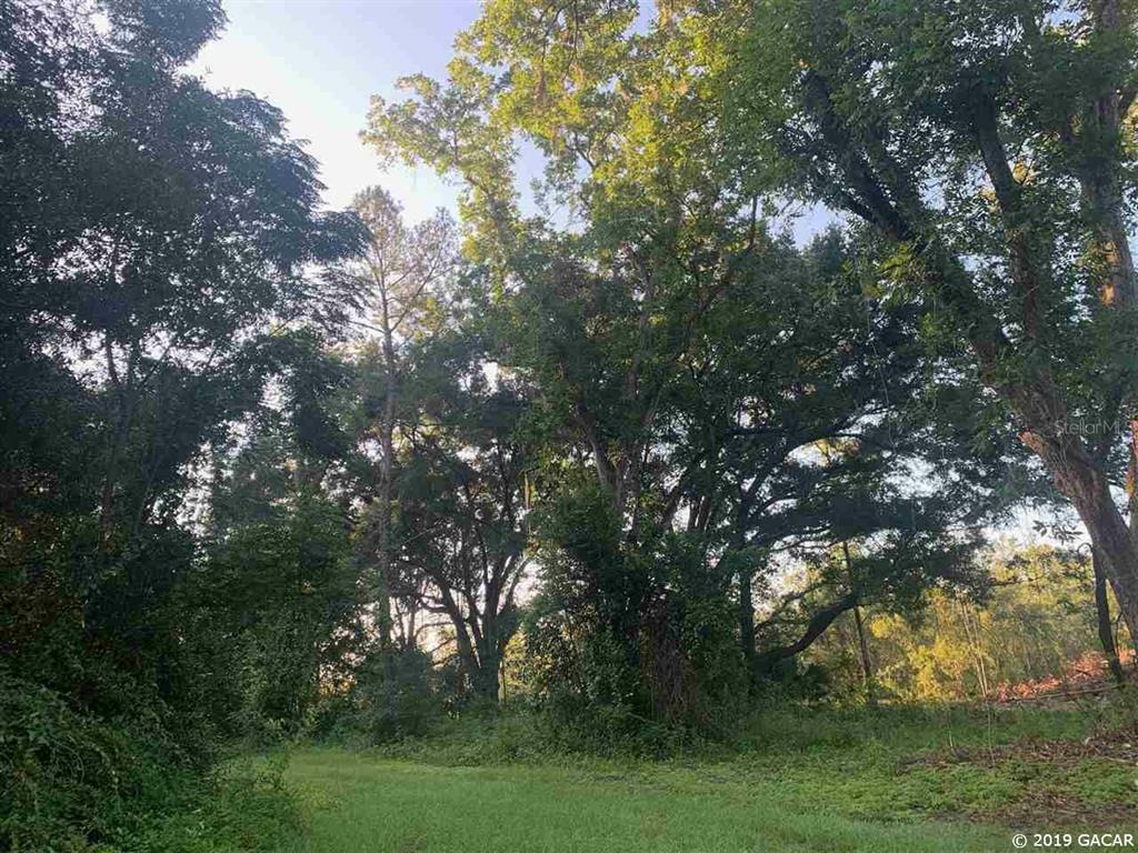 Property Photo:  Parcel 7 NW 234th Street  FL 32615 