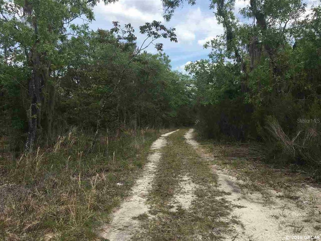 00 NE 128th Place  Archer FL 32618 photo