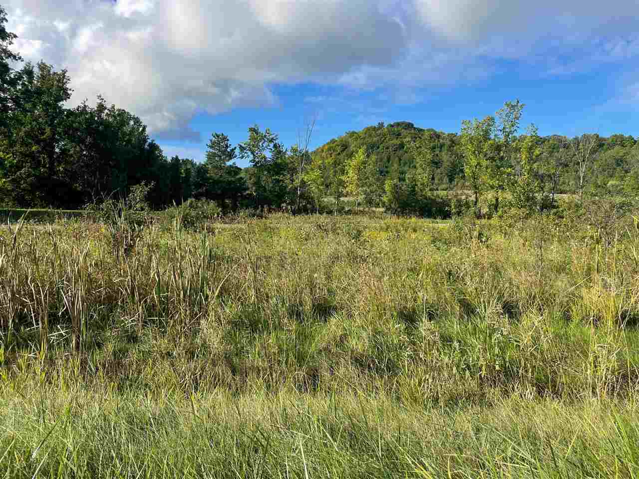 Property Photo: 4737 N M-66 MI 49727