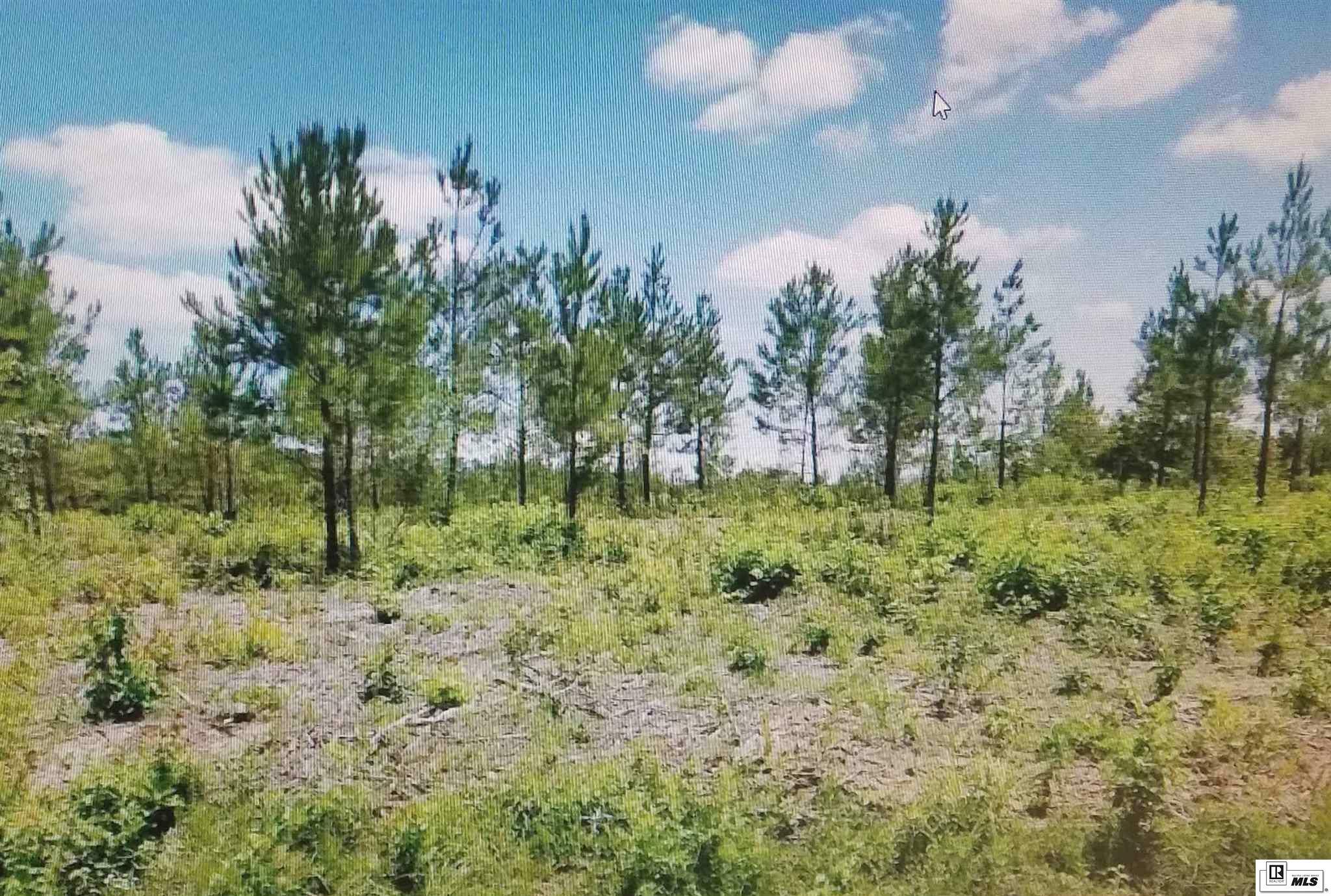 Property Photo:  Tract 4 Highway 139  LA 71203 