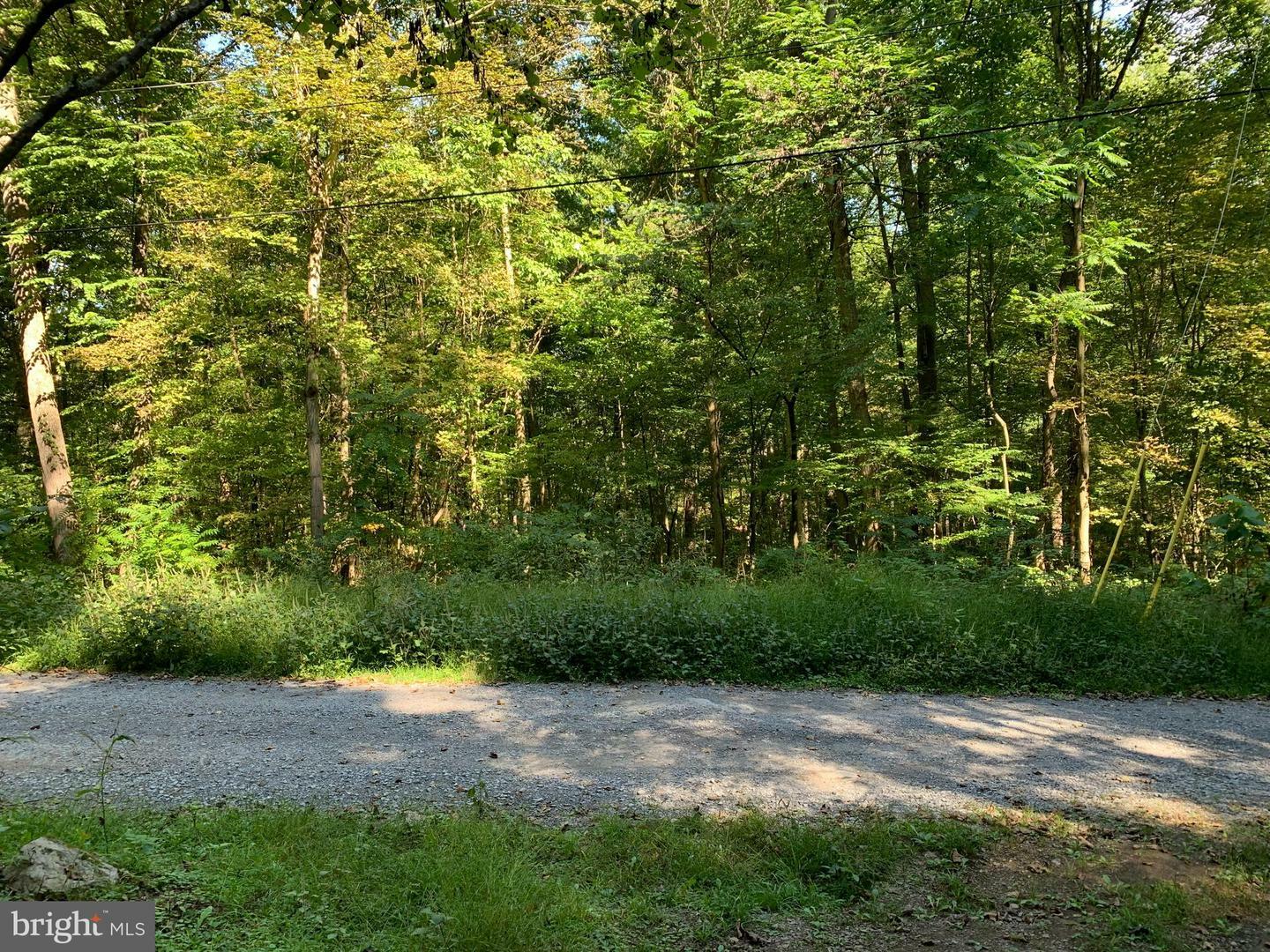 Property Photo:  Lot 17 Cacapon Retreat Lane  WV 25422 