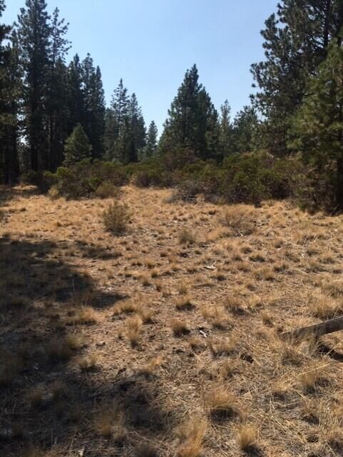 19148 Pumice Butte Road  Bend OR 97702 photo