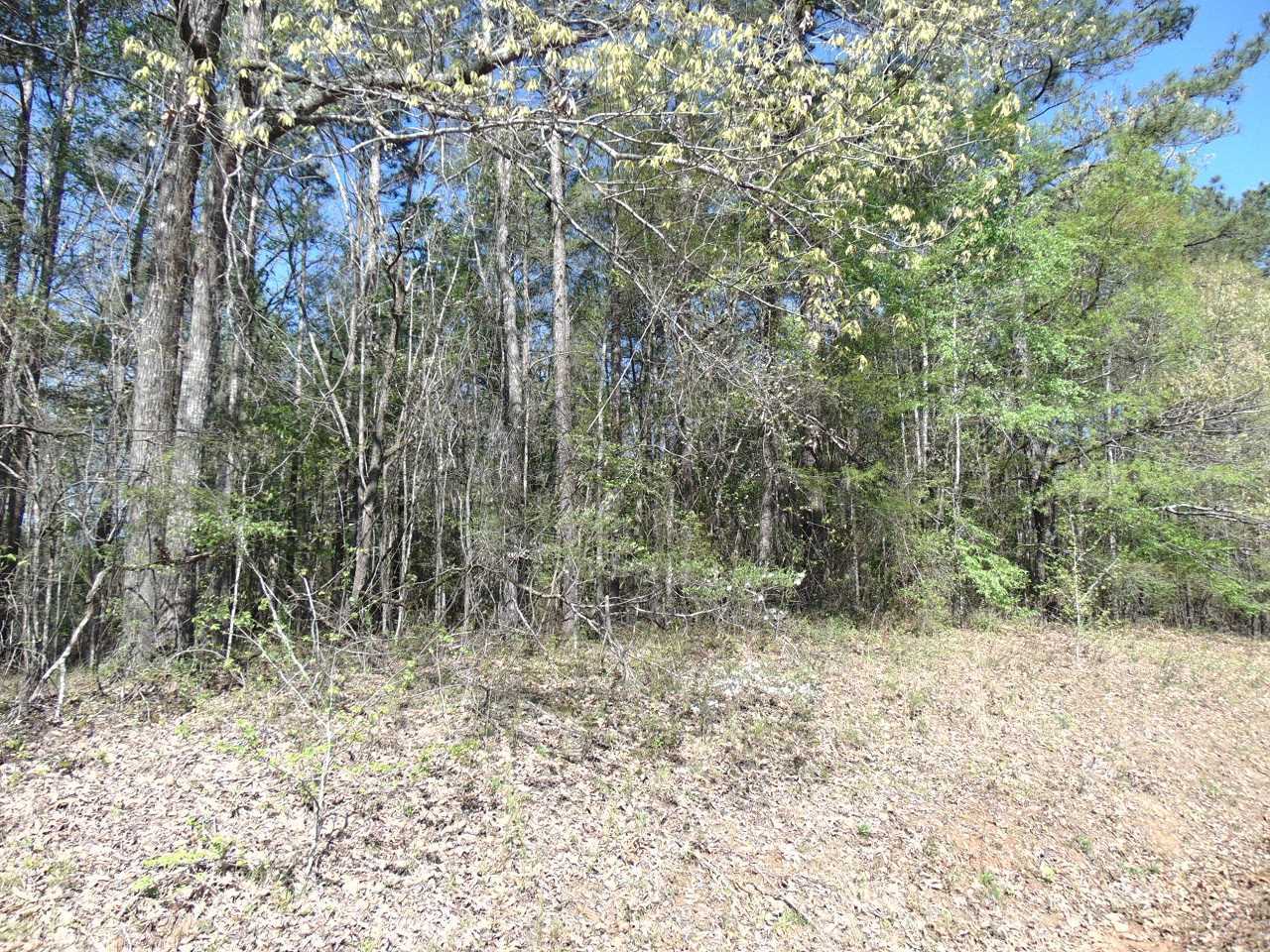 Property Photo:  Lot 4 Ellman Drive 409 E Riverbend Dr.  GA 31024 