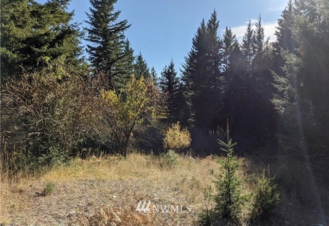 Property Photo:  260 Bakers Rd  WA 98940 