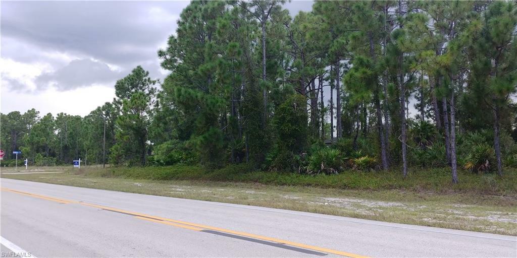 Property Photo:  793 Homestead Road S  FL 33974 