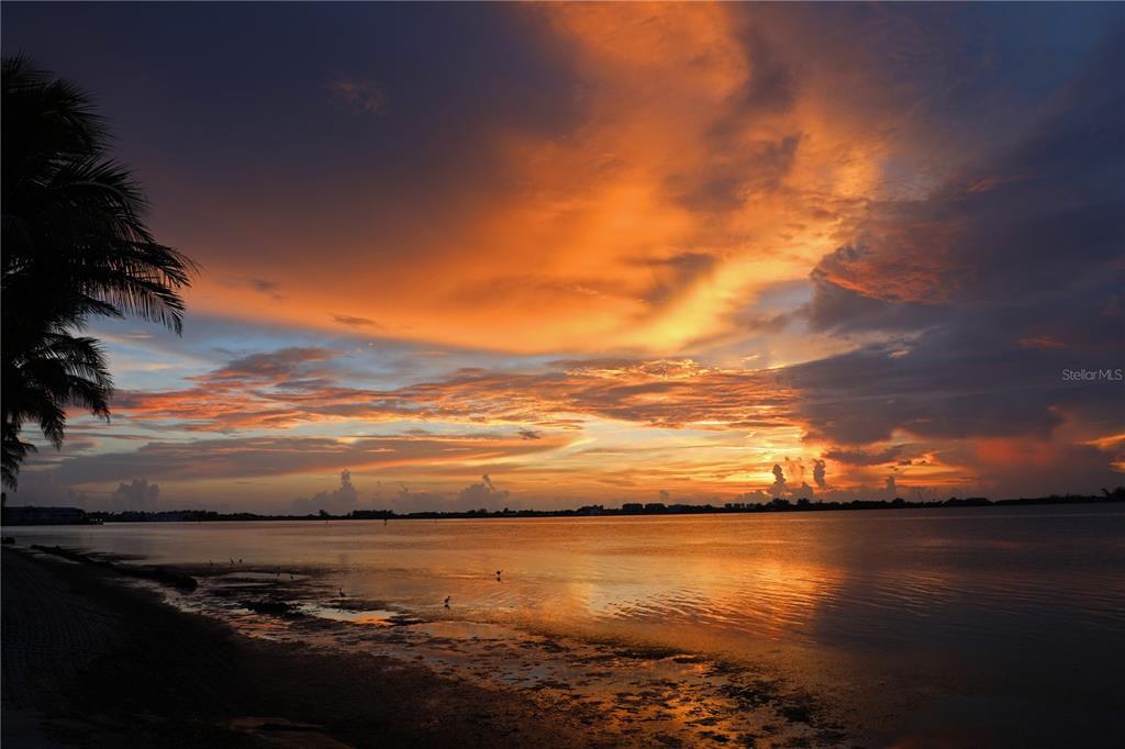 Property Photo: 1241 Gulf Of Mexico Drive 408 FL 34228