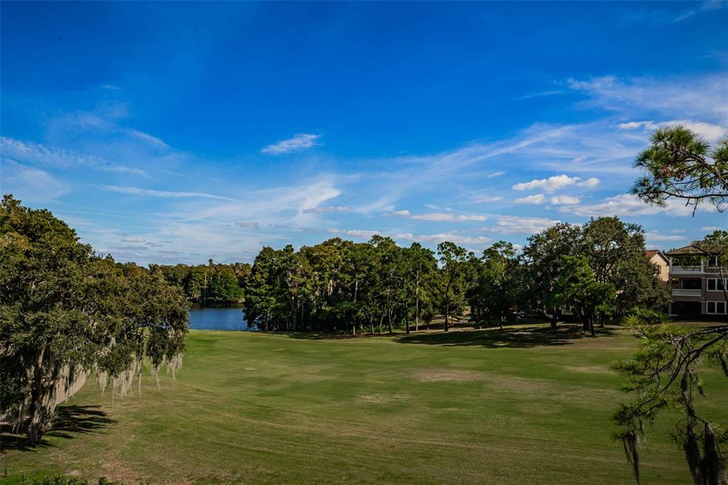 Property Photo:  1580 Lavello Lane  FL 34683 