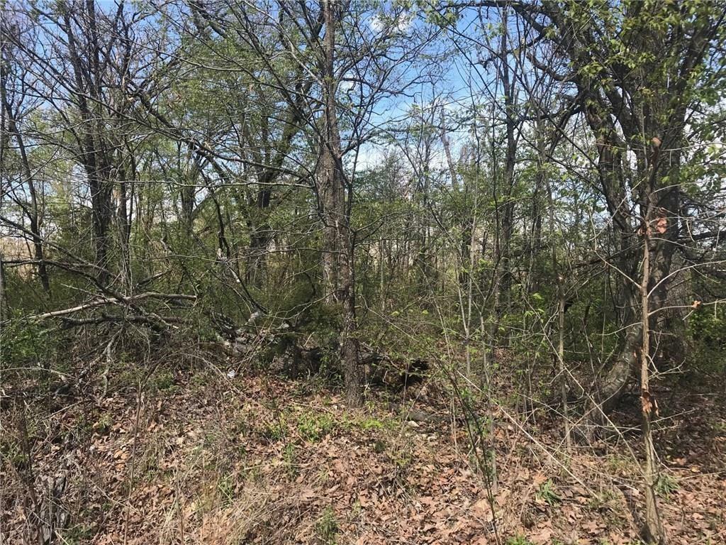 Property Photo: Doon Lane AR 72715