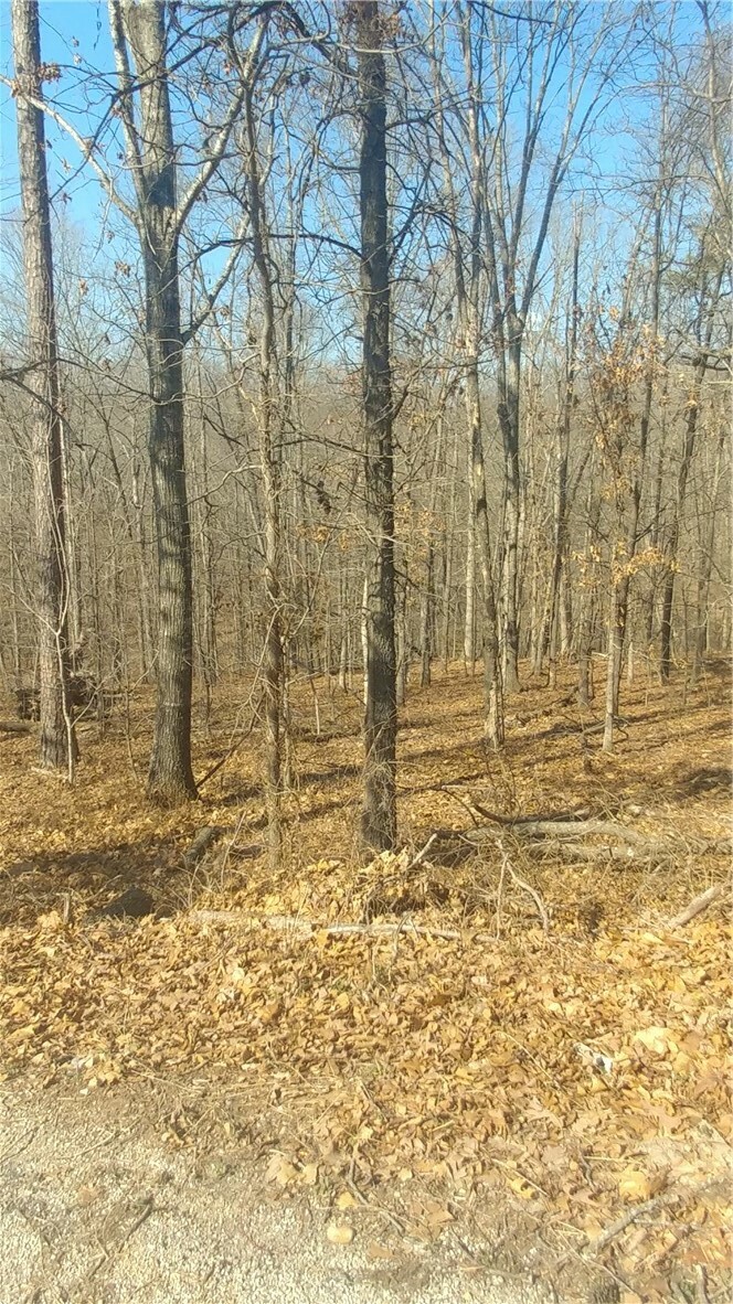 Property Photo:  -- Bolton Lane  AR 72715 