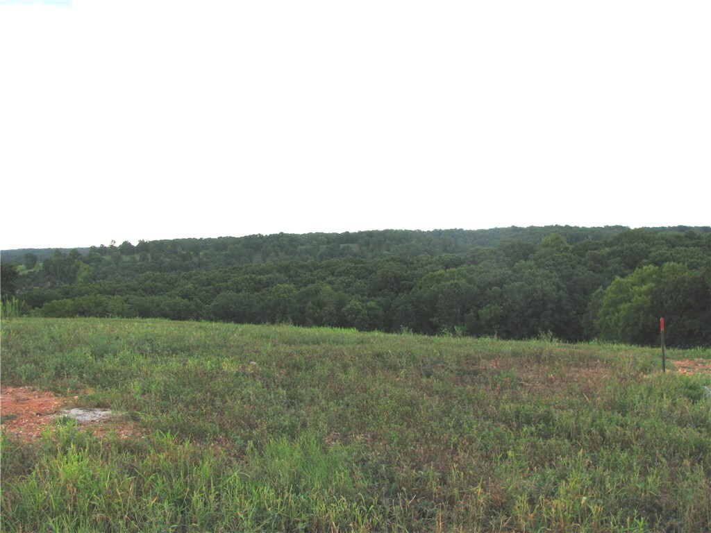 Property Photo: Lot 2 NW Riverbend Road AR 72712