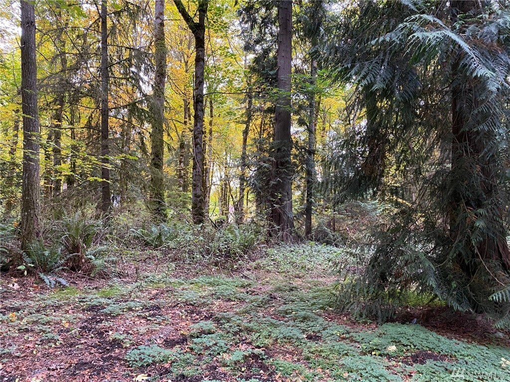 Property Photo:  2405 268th Ave NE  WA 98053 