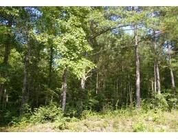 Property Photo: Glueckert Lane MO 65772