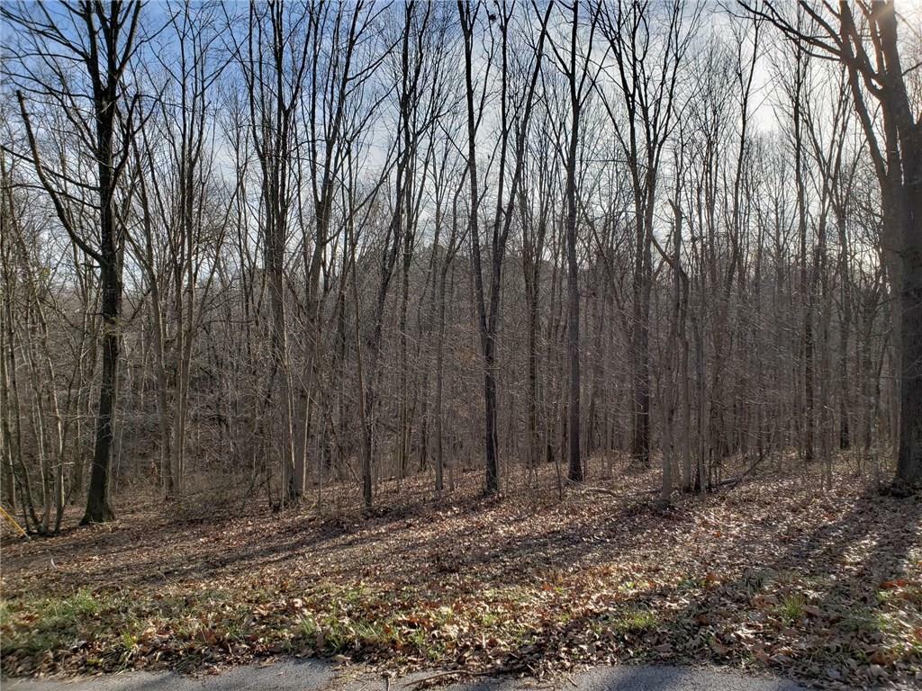 Property Photo:  Lot 14 Crosshill Circle  AR 72715 