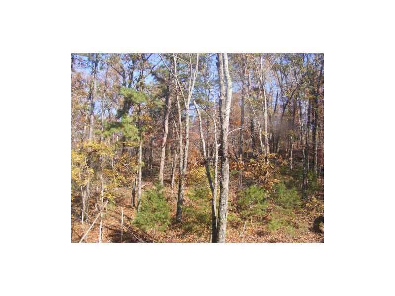 Property Photo:  Lake Estates Drive  AR 72756 