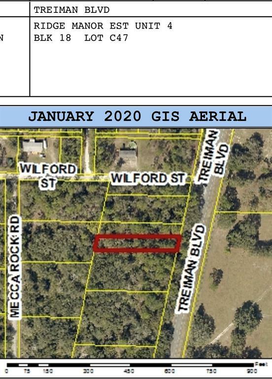 Property Photo:  Treiman Boulevard  FL 33597 