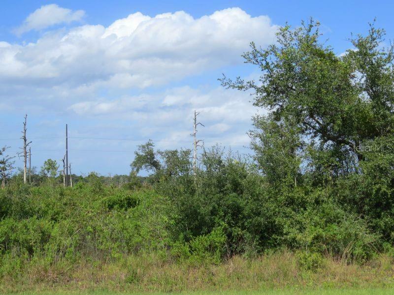 Property Photo:  Hwy 630 E  FL 33843 