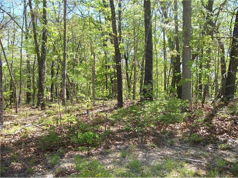 Property Photo: E Carefree Lane AR 72745