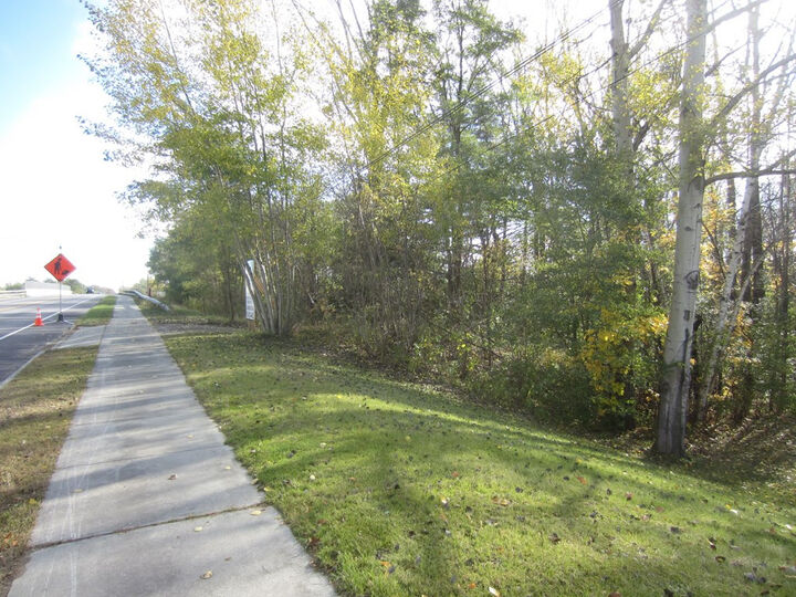 Property Photo: 0 Benny Blake Road NY 12901