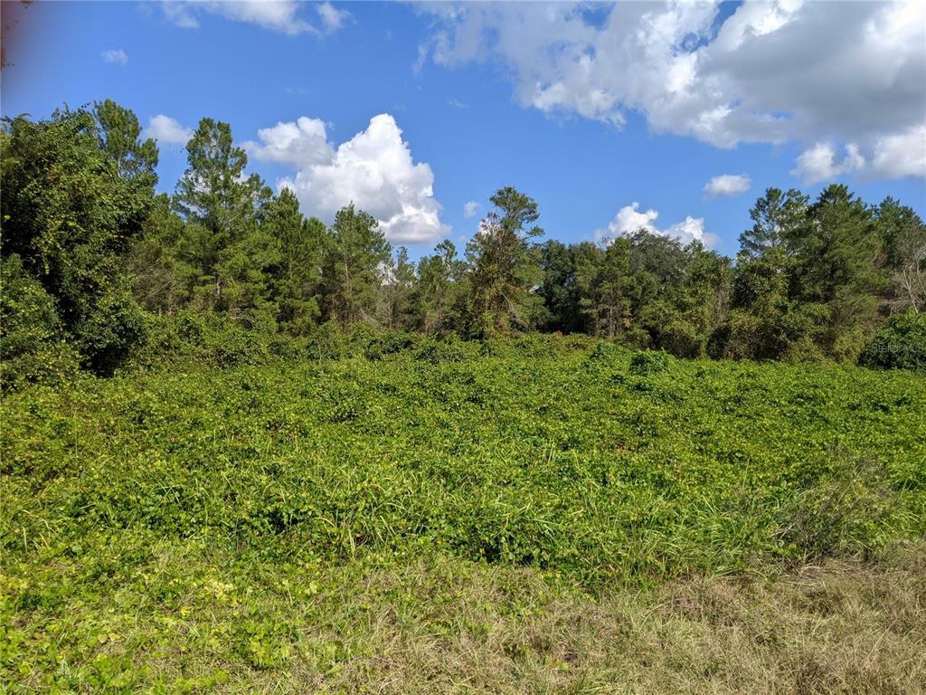 Property Photo:  Lake Street  FL 32738 