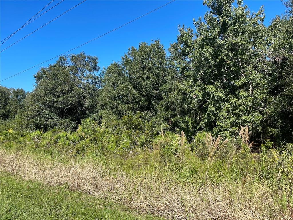 Property Photo: 3994 SE County Road 760A FL 34266