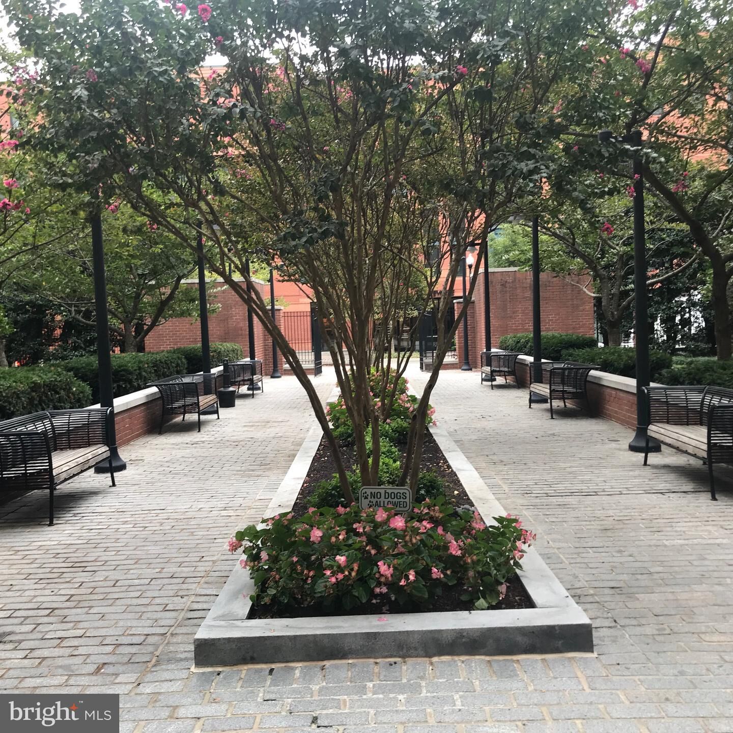 Property Photo:  1021 N Garfield Street 904  VA 22201 