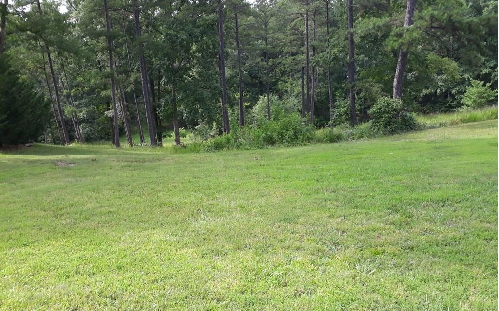 Property Photo:  Lot 2 Old Evans Road  NC 28906 