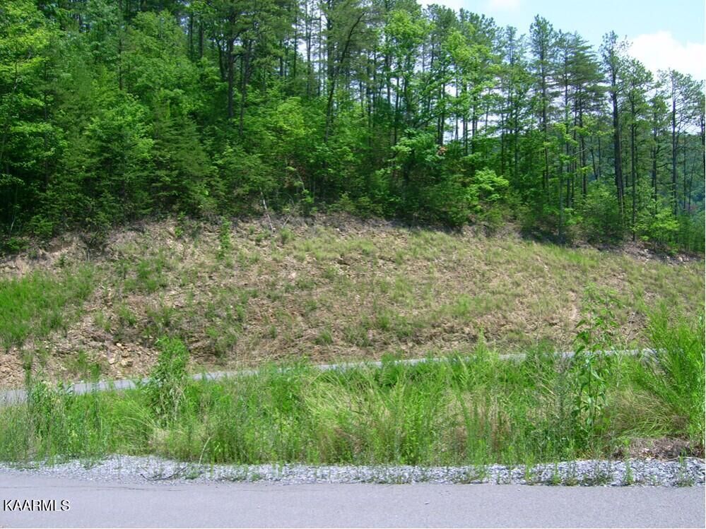 Property Photo: Lot 102E Deerskin Road TN 37862