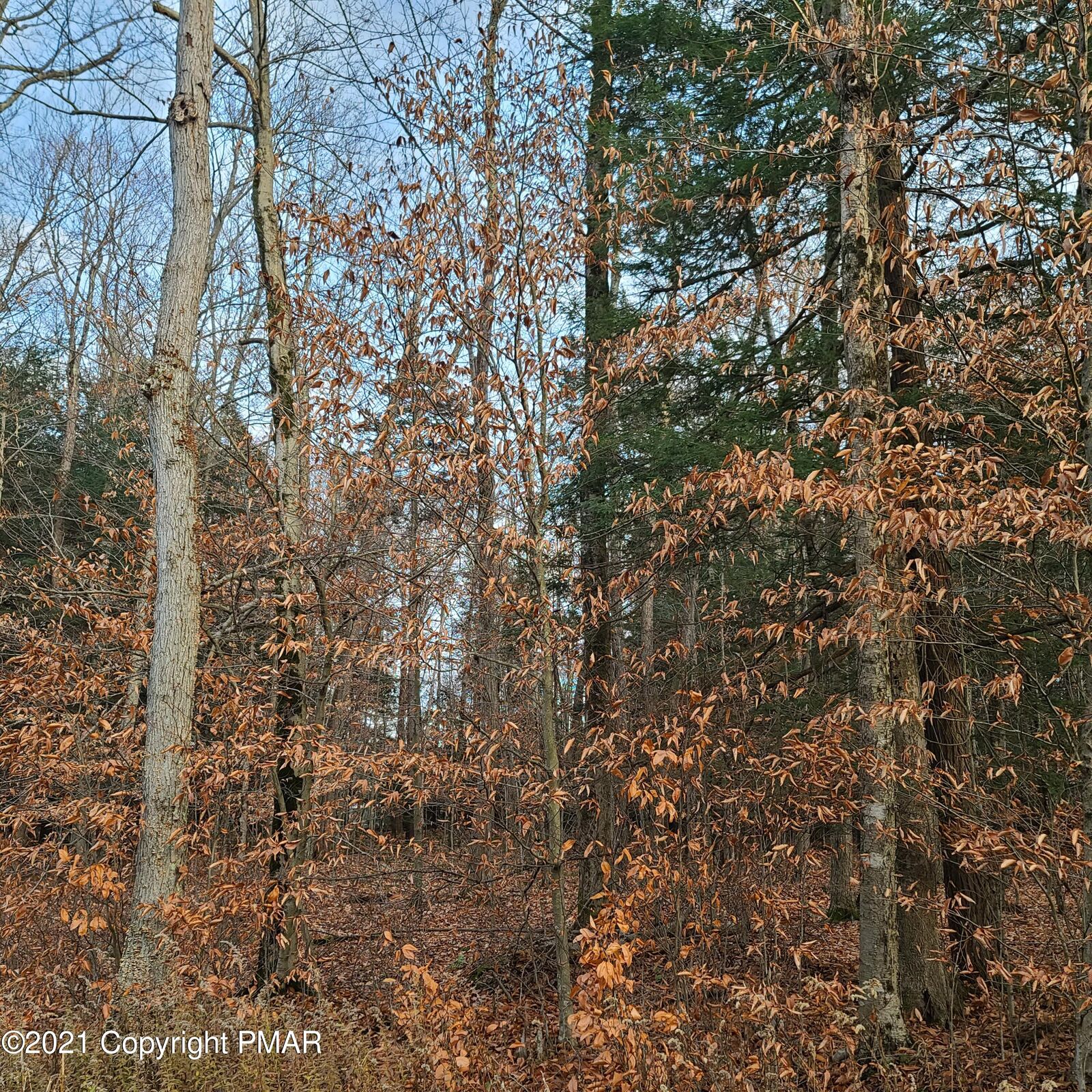 Property Photo: 244 King Arthur Road PA