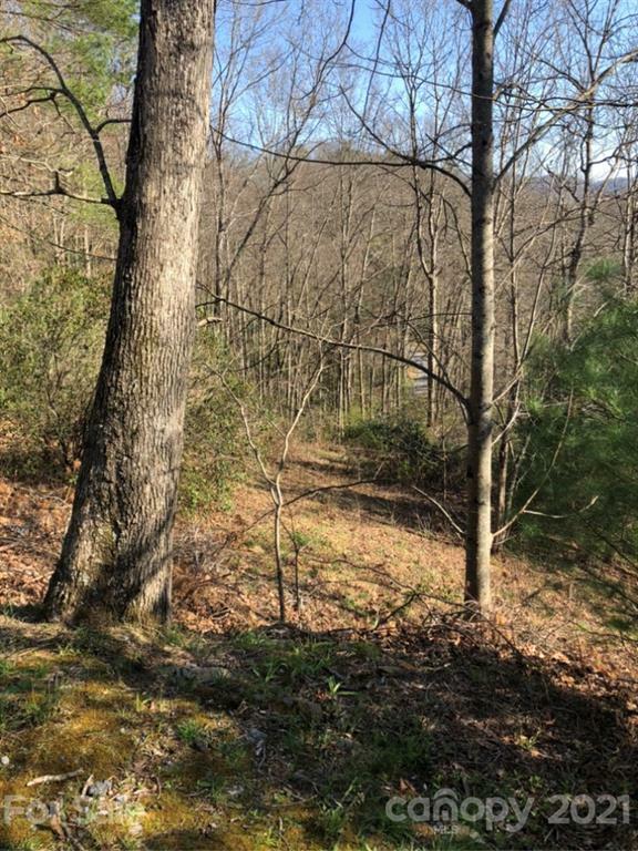 Property Photo:  Lot #5 &Amp 6 Kylie Lane  NC 28785 