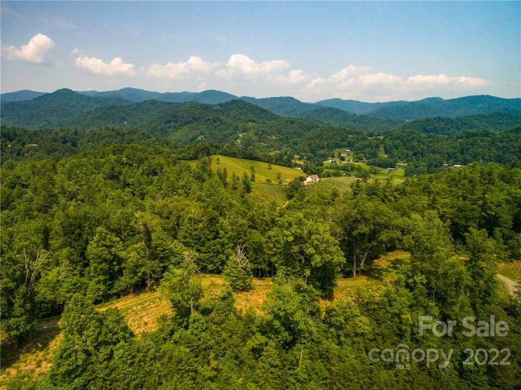 Property Photo:  Lot 2 The Vines Boulevard Lot 2  NC 28753 