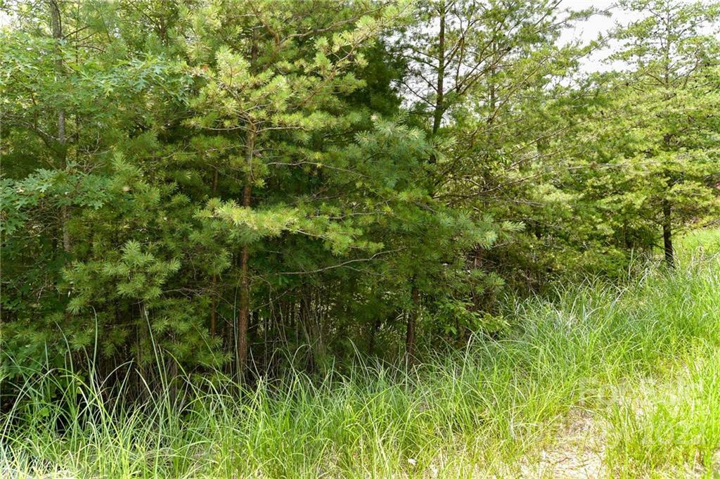 Property Photo:  Lot 22 The Vines Boulevard Lot 22  NC 28753 