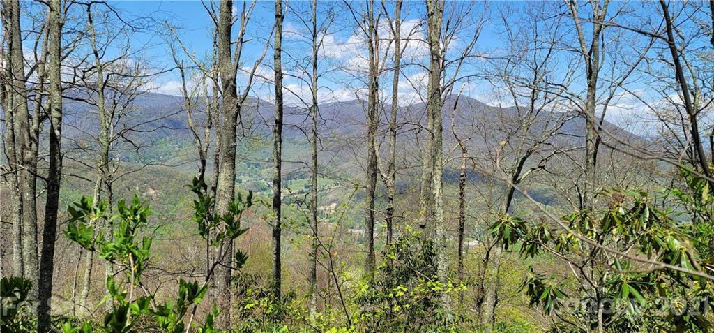 Property Photo:  Off Angel Falls Road  NC 28751 