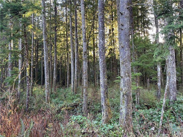 Property Photo:  66 Xd Woods Creek Road  WA 98272 