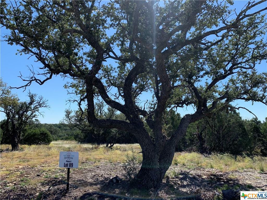 Property Photo:  Tbd Private Road 42122  TX 76525 