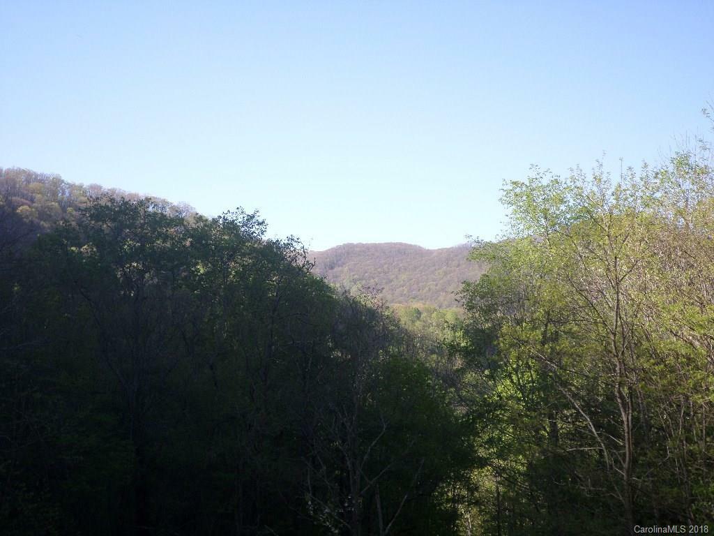 Property Photo:  00 Tumbling Fork Road 00  NC 28785 