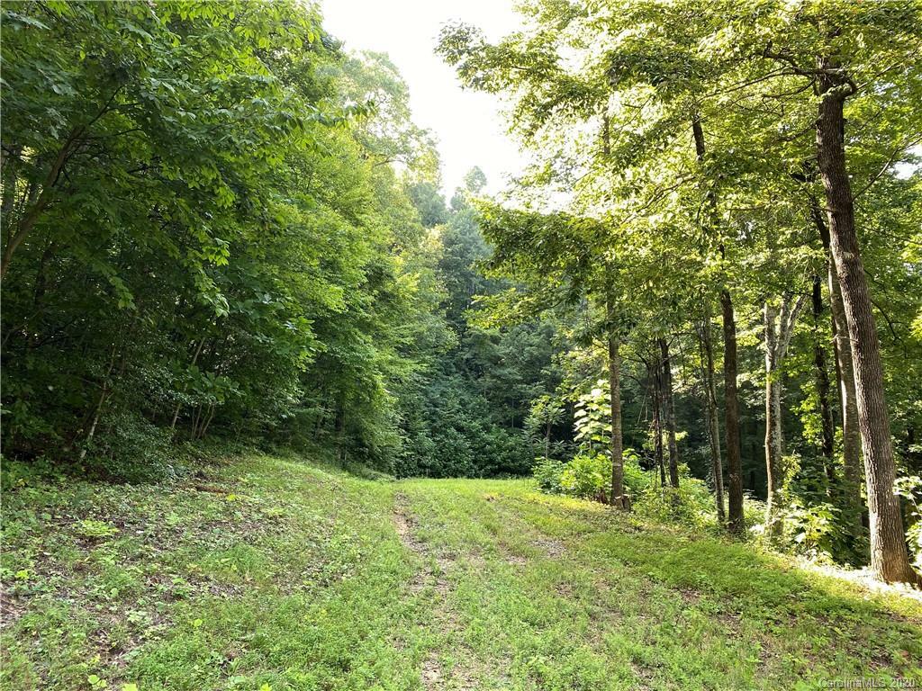 Property Photo:  204 Sally Gap Road 204S  NC 28762 