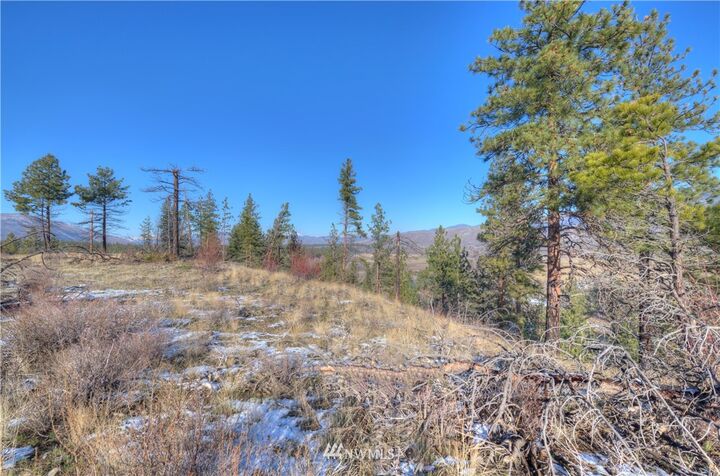 Property Photo:  1 Rising Eagle Road  WA 98862 