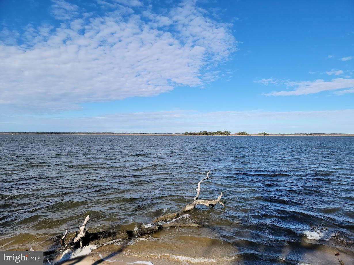 Property Photo: 0 Mt Vernon Road MD 21853