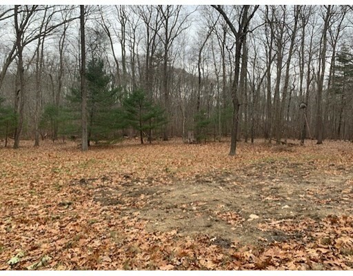 Property Photo:  8 Bird Ln (Lot 1A)  MA 02067 