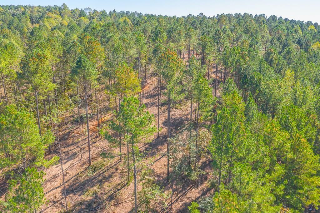 Lot 39 Crow Road  Dalton GA 30721 photo