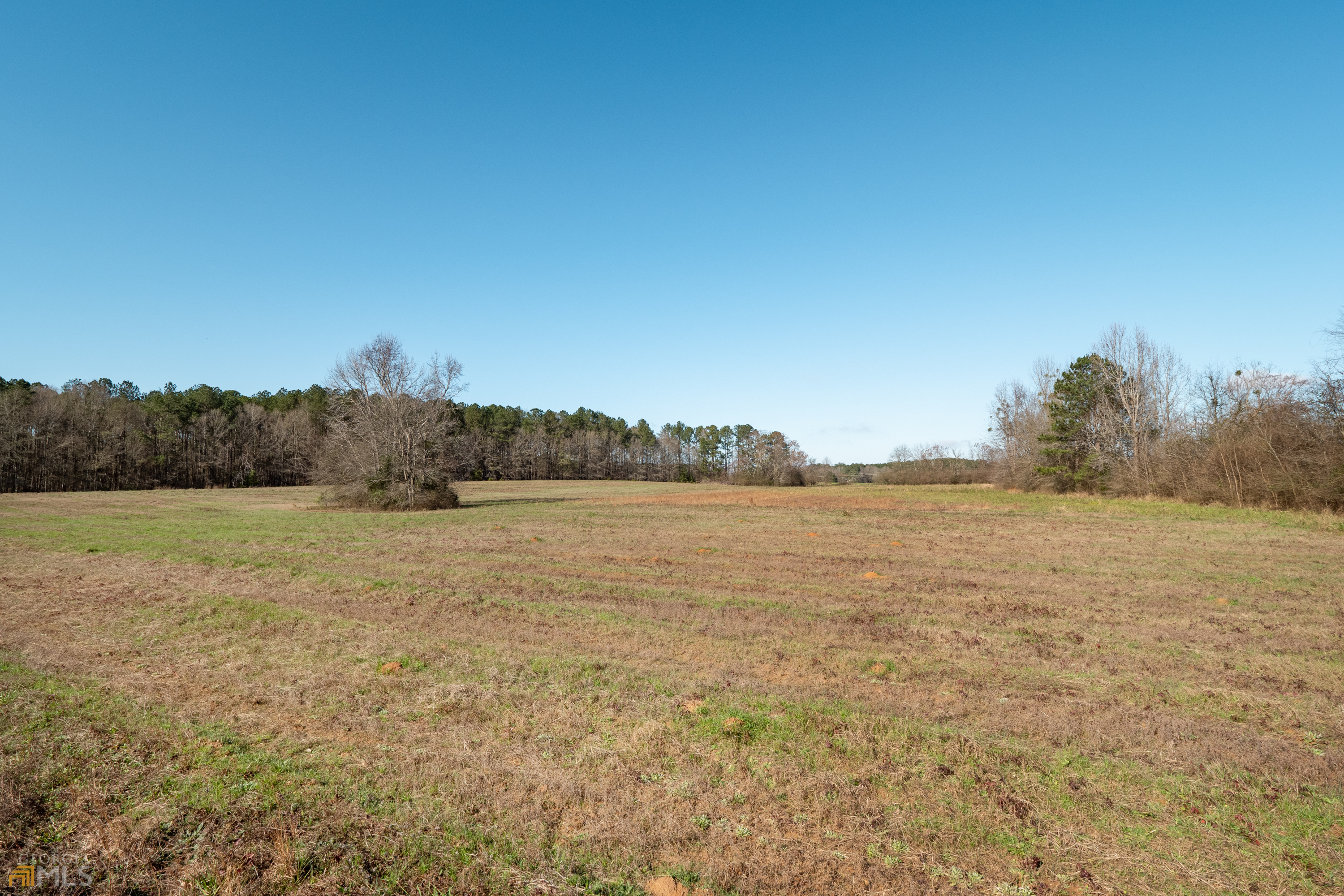 Property Photo:  0 Higgins Road  GA 30216 