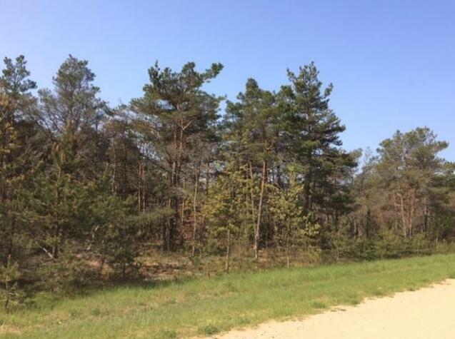 Property Photo:  Lot 17&Amp18 Bonter Court  MI 49721 