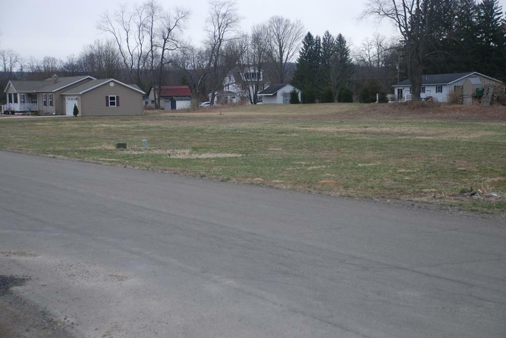 Lot 9 Wilcox Estates  Waverly NY 14892 photo