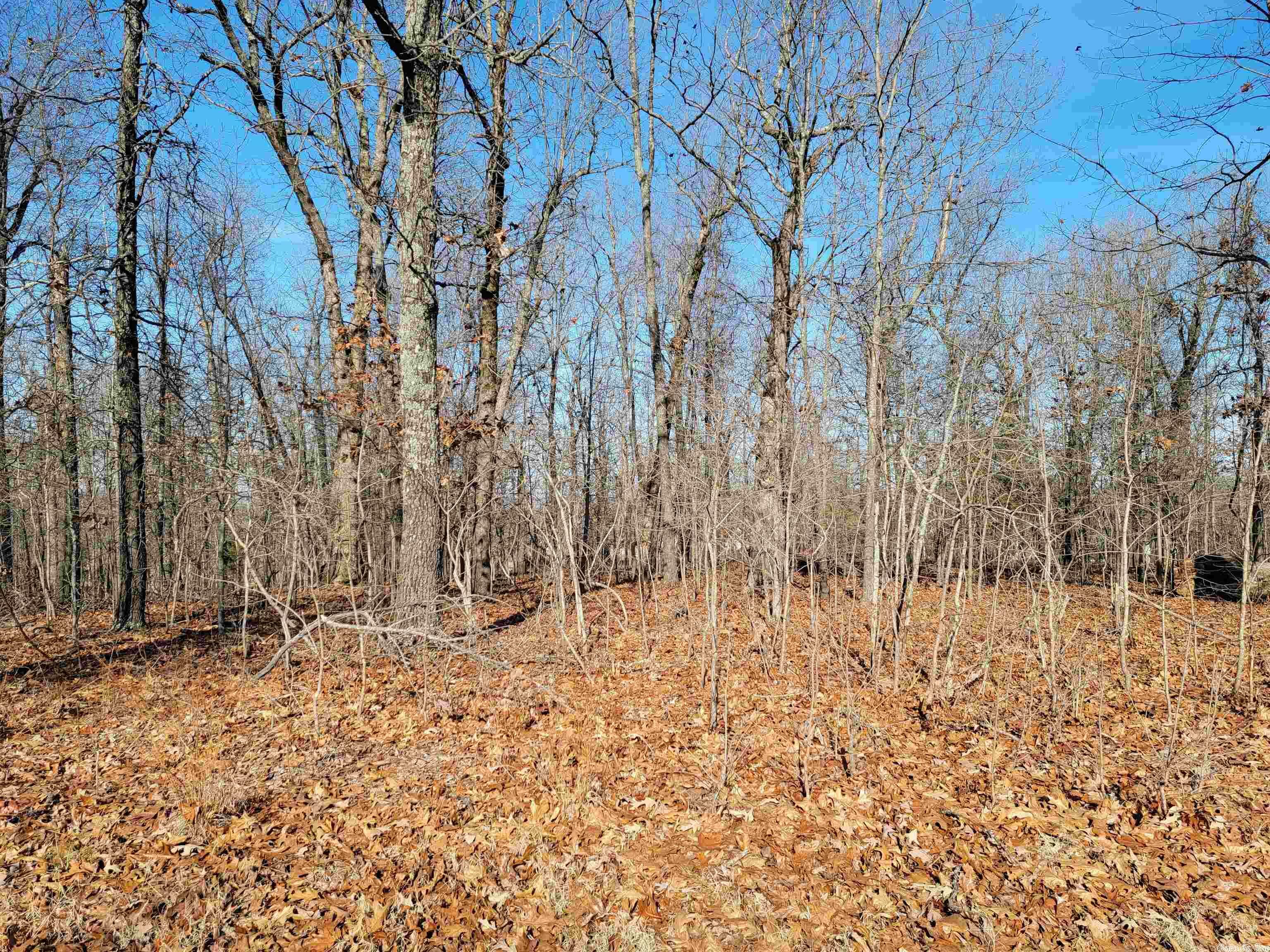 Property Photo:  E Michael Drive Lots 8, 9, 10  AR 72529 