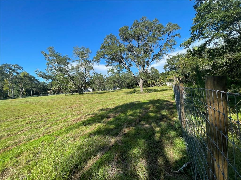 Property Photo:  11684 W Deodar Street  FL 34428 