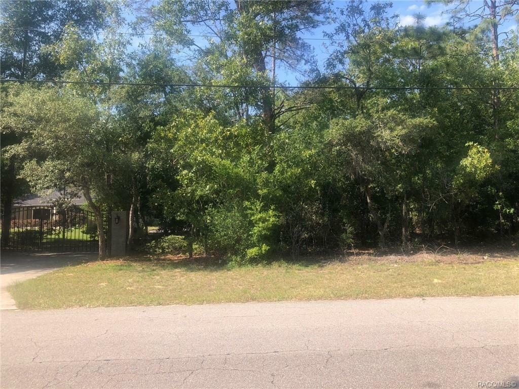 Property Photo:  1375 E McKinley Street  FL 34442 