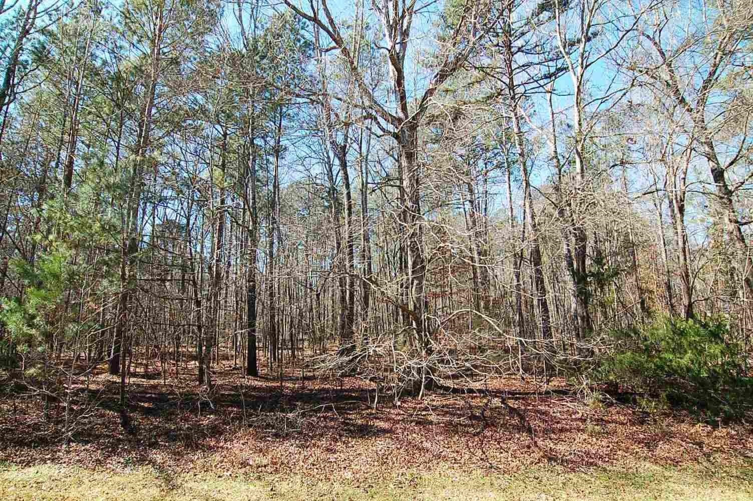 Property Photo: 136 Broadlands Drive GA 31024