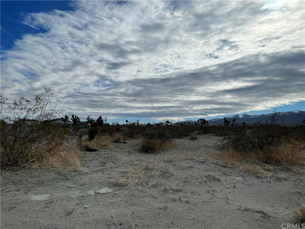Property Photo:  0 Olivera Rd  CA 92372 