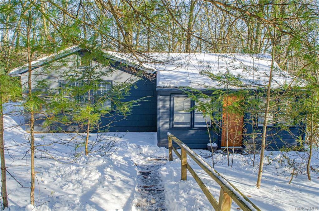 Property Photo:  125 Grassy Ridge Road  NY 12461 